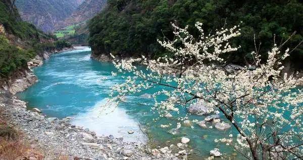 新余消防部门通报市民投诉热线电话占线或无法接通问题：将增设举报电话